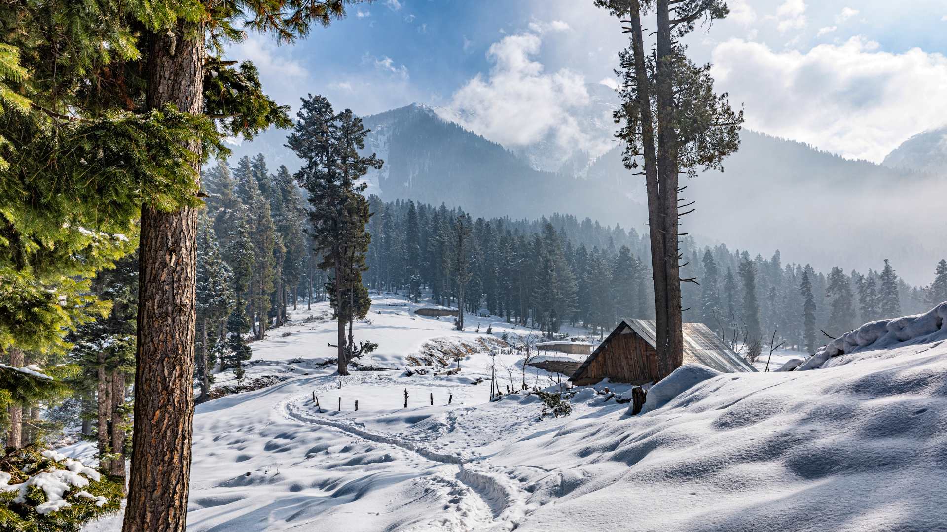 Kashmir